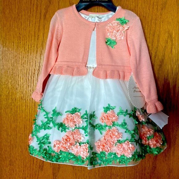 American Princess special occasion dress - Picture 1 of 6